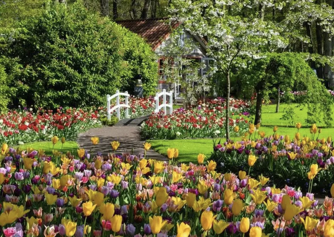 Ravensburger Bloemenpark Keukenhof - puzzel van 1000 stukjes