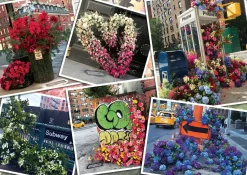 Ravensburger Bloemenpracht in New York - puzzel van 1000 stukjes