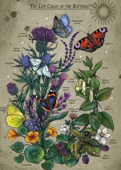 Ravensburger De Vlinder - puzzel van 1000 stukjes