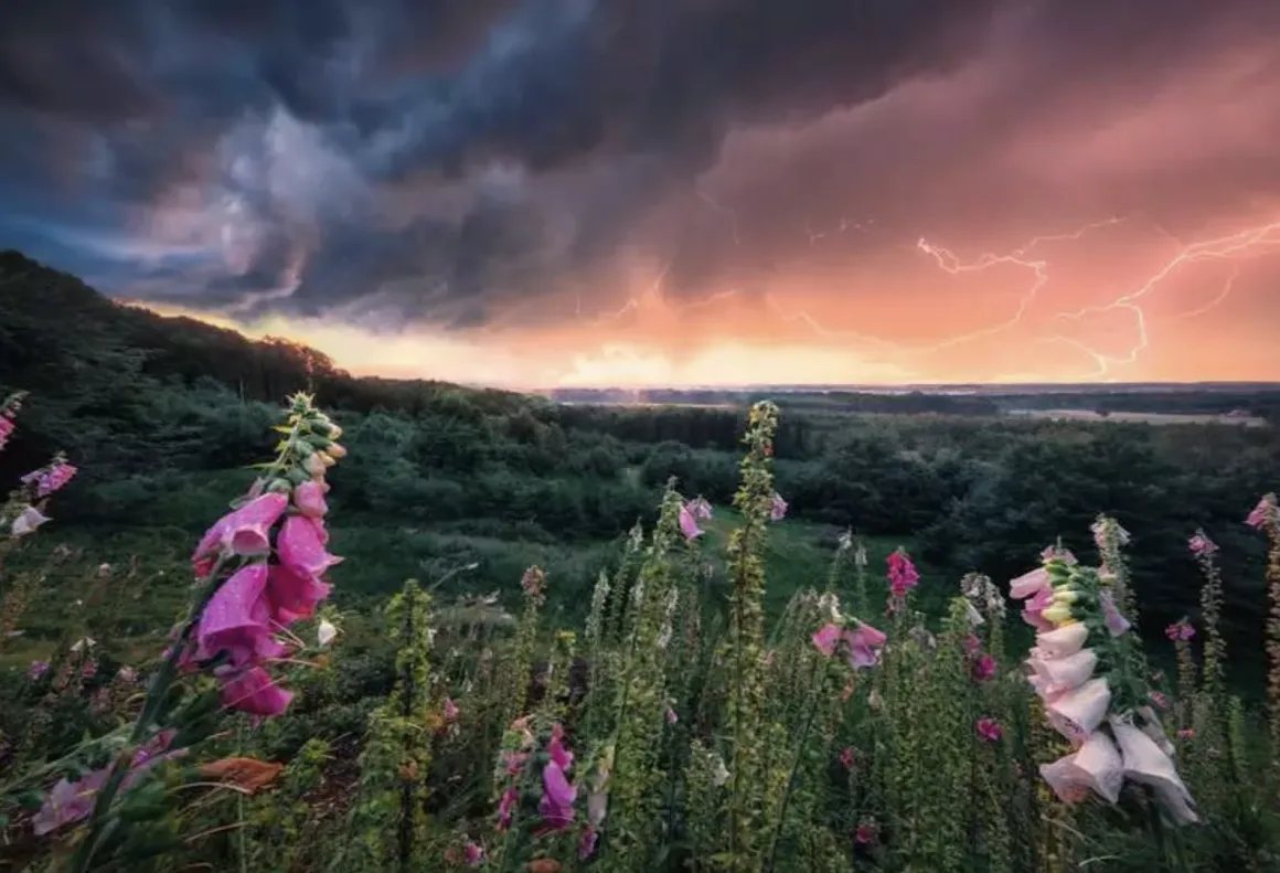 Ravensburger Dreamy Thunder - puzzel van 1000 stukjes
