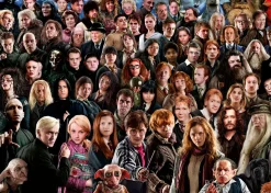 Ravensburger Harry Potter - Challenge - puzzel van 1000 stukjes