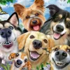 Ravensburger Honden selfie - puzzel van 500 stukjes