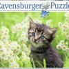 Ravensburger Katje in de wei - puzzel van 500 stukjes