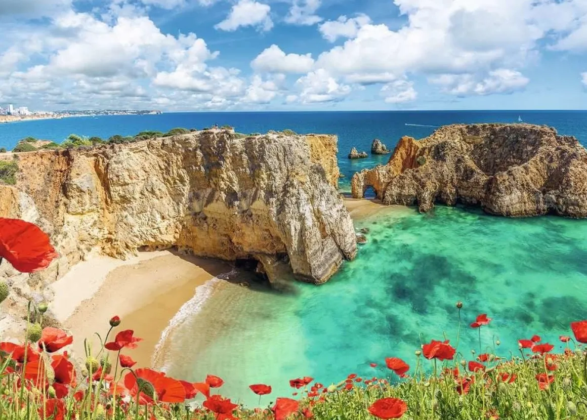 Ravensburger Klaprozen in de Algarve, Portugal - puzzel van 1000 stukjes