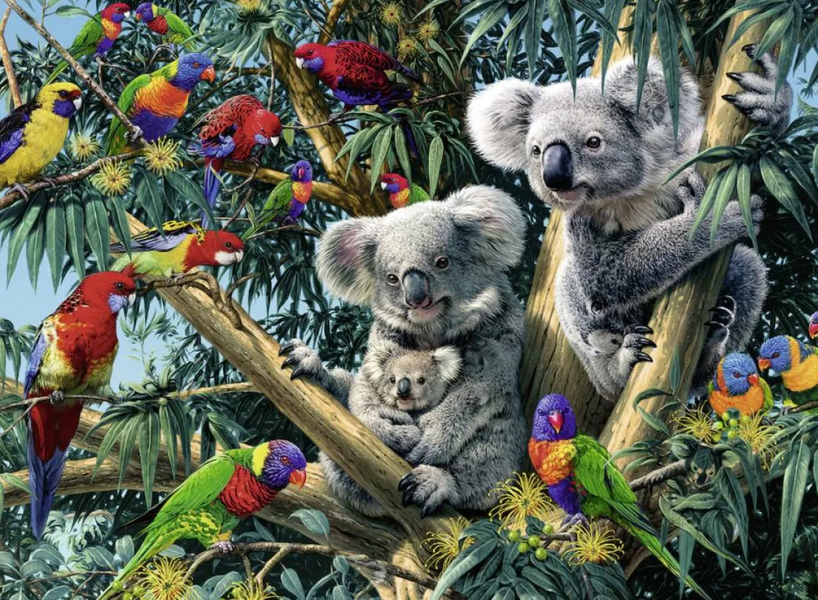 Ravensburger Koala's in de boom - 500 stukjes