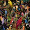 Ravensburger Kunstige vogels - puzzel van 1000 stukjes