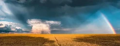 Ravensburger Mystieke regenboog - Java - panoramische puzzel van 1000 stukjes