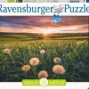 Ravensburger Paardenbloemen bij zonsondergang - puzzel van 500 stukjes