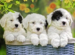 Ravensburger Schattige puppies - 200 stukjes
