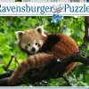 Ravensburger Schattige rode panda - puzzel van 500 stukjes