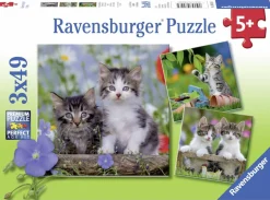 Ravensburger Tijger katjes - 3 puzzels van 49 stukjes