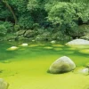 Schmidt Natuur in Queensland, Australië - 1000 stukjes