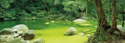 Schmidt Natuur in Queensland, Australië - 1000 stukjes