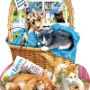 SUNSOUT Gratis kittens - legpuzzel van 1000 stukjes