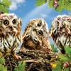 SUNSOUT Lori Schory - Hear No Speak No See No - legpuzzel van 300 XXL stukjes