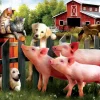 SUNSOUT Making New Friends - legpuzzel van 300 XXL stukjes