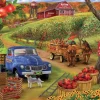 SUNSOUT Pluk je eigen appels - legpuzzel van 500 XXL stukjes