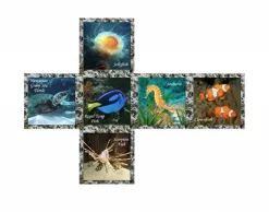 V-Cube V-2 Sea World - Kubus